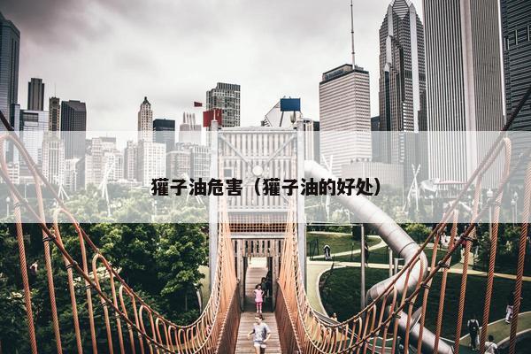 獾子油危害（獾子油的好处）