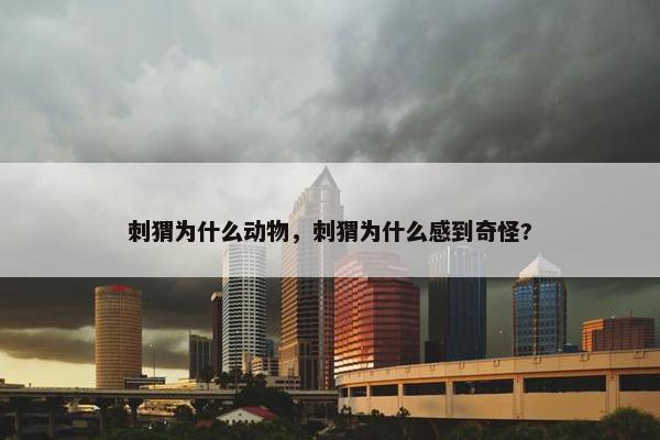 刺猬为什么动物，刺猬为什么感到奇怪?