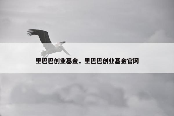 里巴巴创业基金，里巴巴创业基金官网