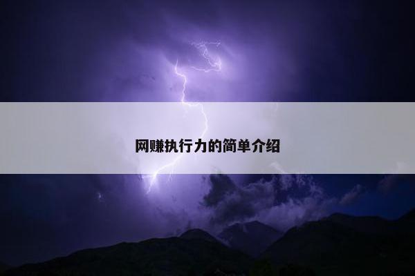 网赚执行力的简单介绍