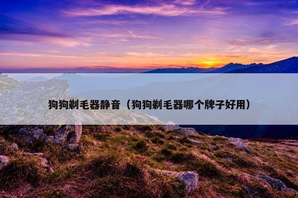 狗狗剃毛器静音（狗狗剃毛器哪个牌子好用）
