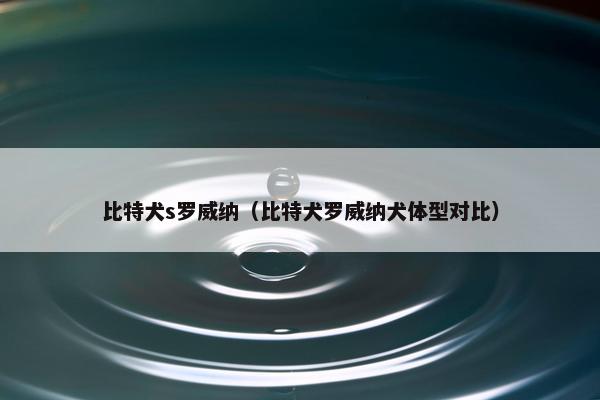 比特犬s罗威纳（比特犬罗威纳犬体型对比）