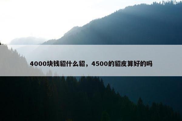 4000块钱貂什么貂，4500的貂皮算好的吗