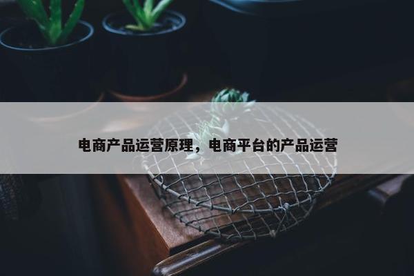 电商产品运营原理，电商平台的产品运营