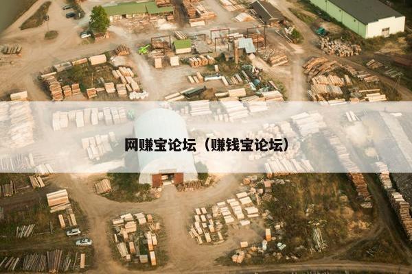 网赚宝论坛（赚钱宝论坛）