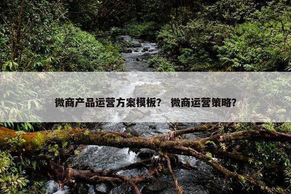 微商产品运营方案模板？ 微商运营策略？