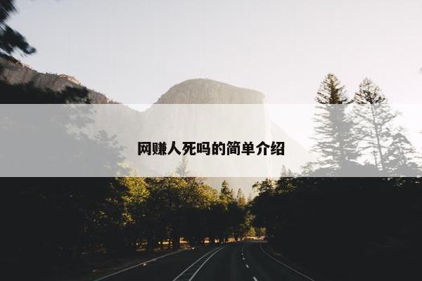 网赚人死吗的简单介绍