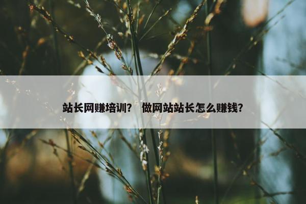 站长网赚培训？ 做网站站长怎么赚钱？