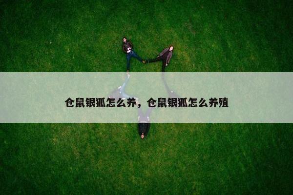 仓鼠银狐怎么养，仓鼠银狐怎么养殖