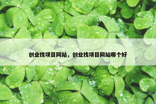 创业找项目网站，创业找项目网站哪个好
