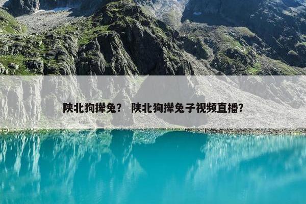陕北狗撵兔？ 陕北狗撵兔子视频直播？