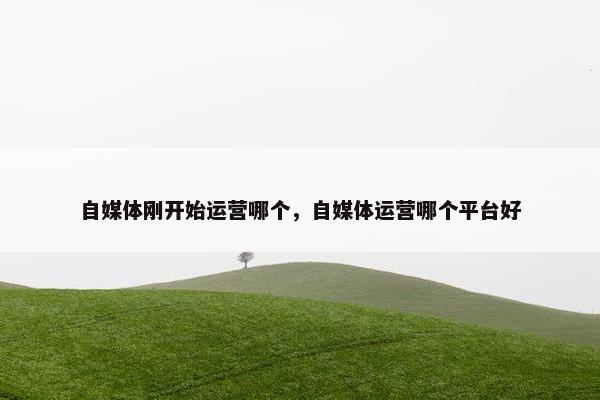 自媒体刚开始运营哪个，自媒体运营哪个平台好