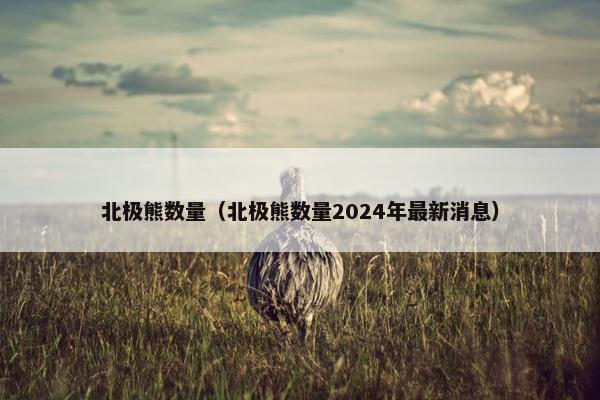 北极熊数量（北极熊数量2024年最新消息）
