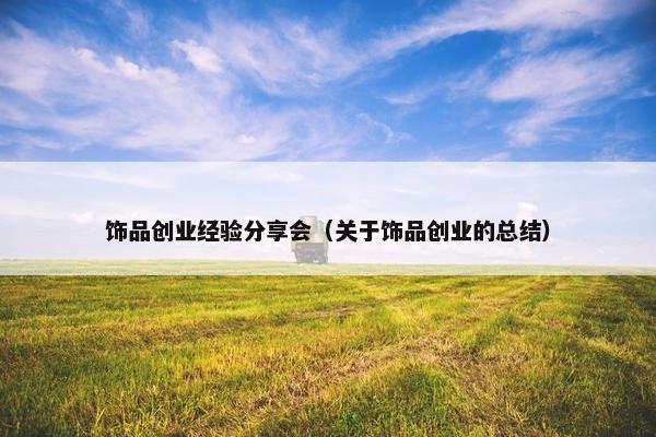 饰品创业经验分享会（关于饰品创业的总结）