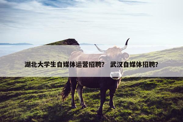 湖北大学生自媒体运营招聘？ 武汉自媒体招聘？