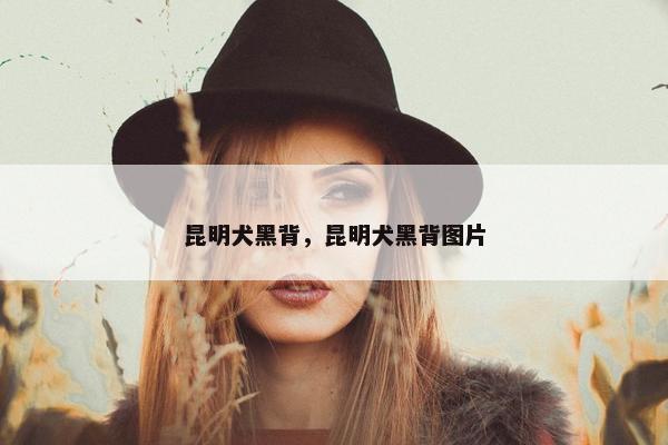 昆明犬黑背，昆明犬黑背图片