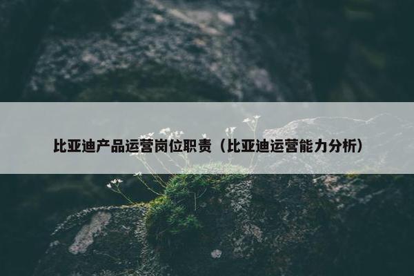 比亚迪产品运营岗位职责（比亚迪运营能力分析）
