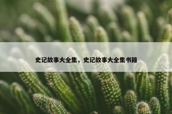 史记故事大全集，史记故事大全集书籍