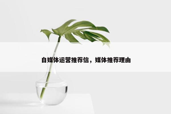 自媒体运营推荐信，媒体推荐理由