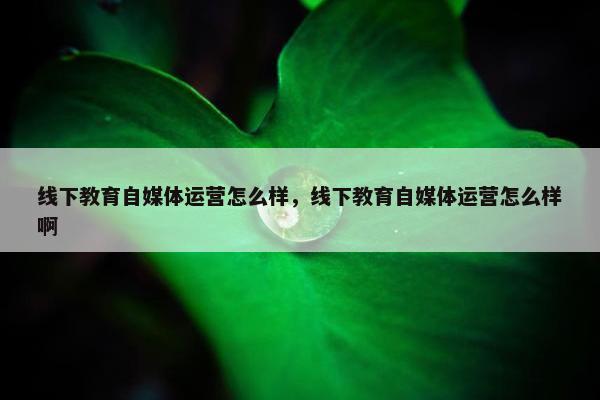 线下教育自媒体运营怎么样，线下教育自媒体运营怎么样啊