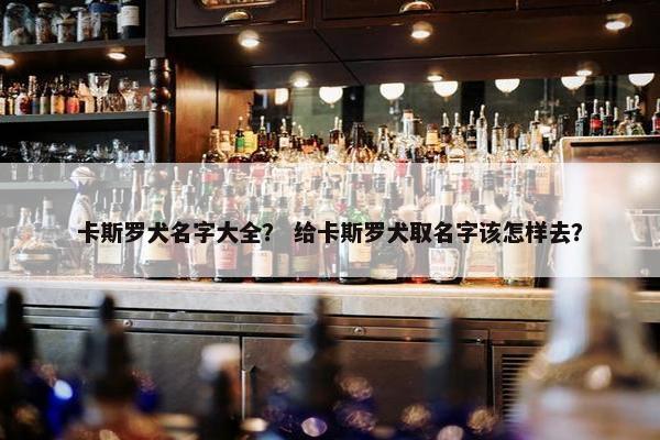 卡斯罗犬名字大全? 给卡斯罗犬取名字该怎样去? 卡斯罗犬名字大全? 给卡斯罗犬取名字该怎样去?