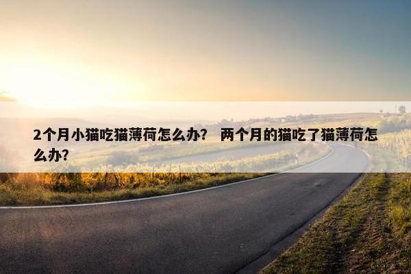 2个月小猫吃猫薄荷怎么办？ 两个月的猫吃了猫薄荷怎么办？