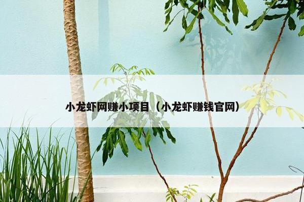 小龙虾网赚小项目（小龙虾赚钱官网）
