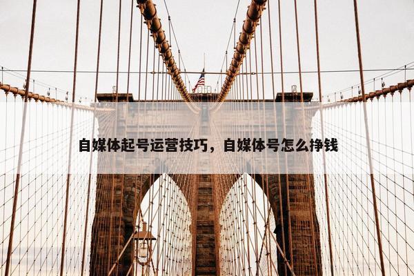 自媒体起号运营技巧,自媒体号怎么挣钱 自媒体起号运营技巧,自媒体号怎么挣钱