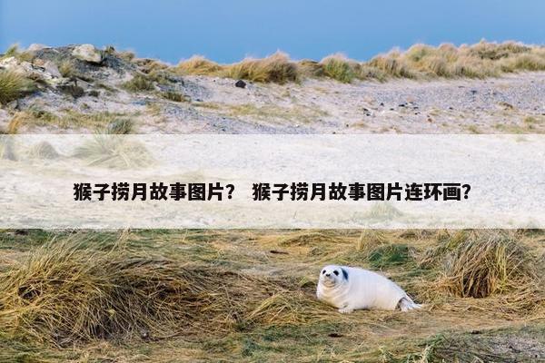 猴子捞月故事图片？ 猴子捞月故事图片连环画？