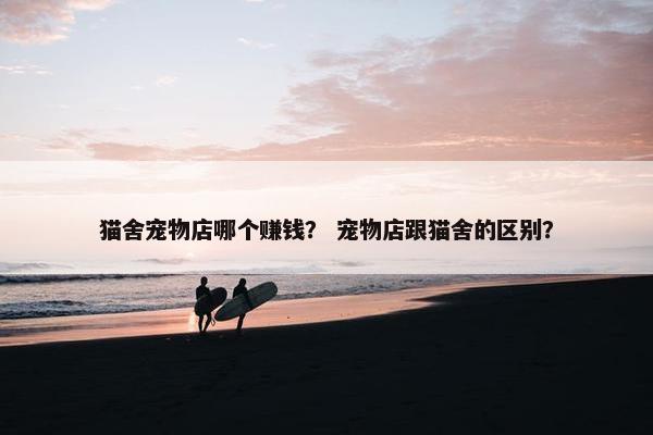 猫舍宠物店哪个赚钱？ 宠物店跟猫舍的区别？