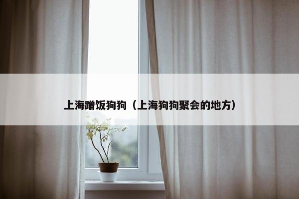 上海蹭饭狗狗（上海狗狗聚会的地方）