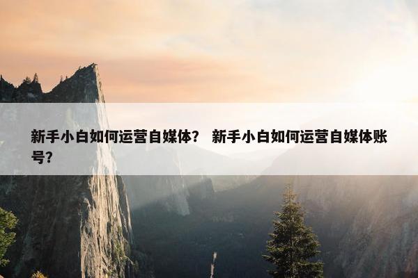 新手小白如何运营自媒体？ 新手小白如何运营自媒体账号？