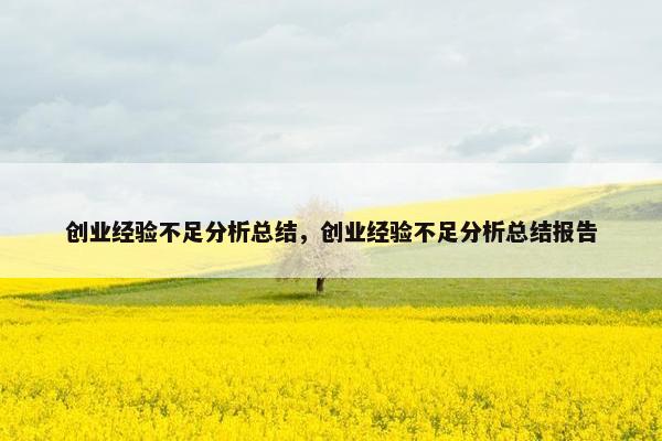 创业经验不足分析总结，创业经验不足分析总结报告