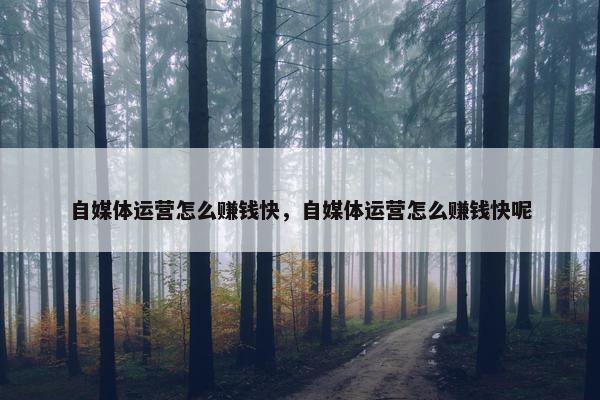 自媒体运营怎么赚钱快，自媒体运营怎么赚钱快呢