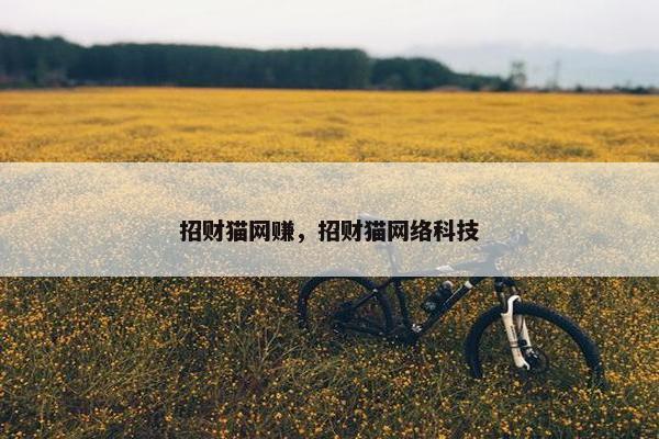 招财猫网赚，招财猫网络科技