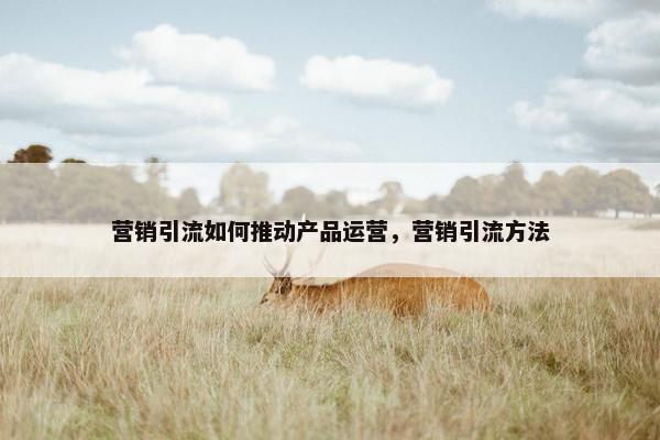 营销引流如何推动产品运营，营销引流方法