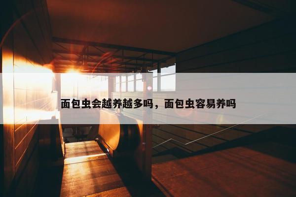 面包虫会越养越多吗，面包虫容易养吗