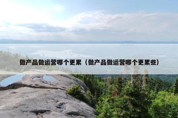 做产品做运营哪个更累（做产品做运营哪个更累些）