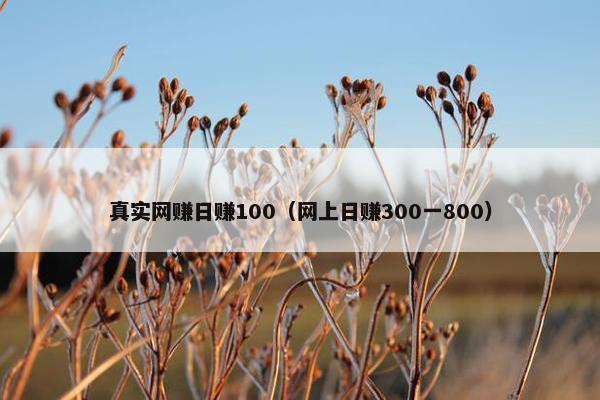 真实网赚日赚100（网上日赚300一800）