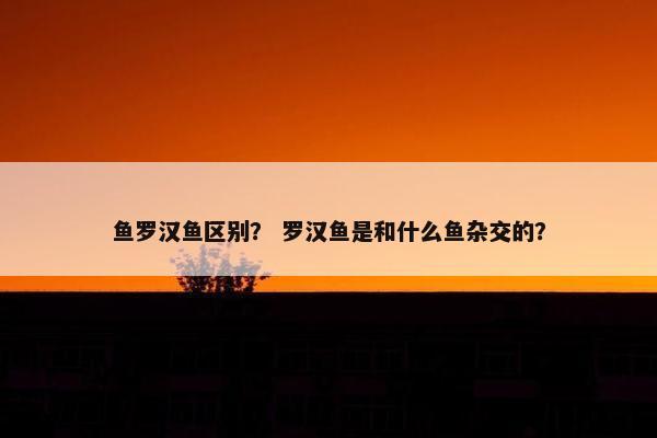 鱼罗汉鱼区别？ 罗汉鱼是和什么鱼杂交的？