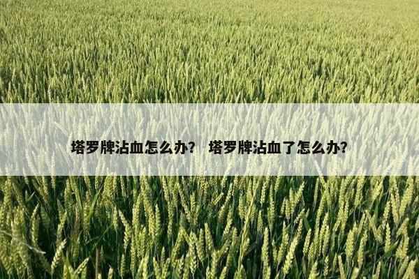 塔罗牌沾血怎么办？ 塔罗牌沾血了怎么办？