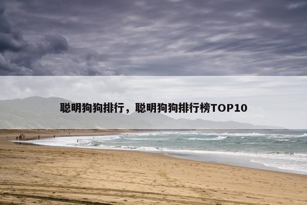 聪明狗狗排行，聪明狗狗排行榜TOP10