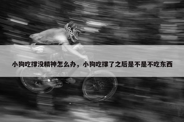 小狗吃撑没精神怎么办，小狗吃撑了之后是不是不吃东西