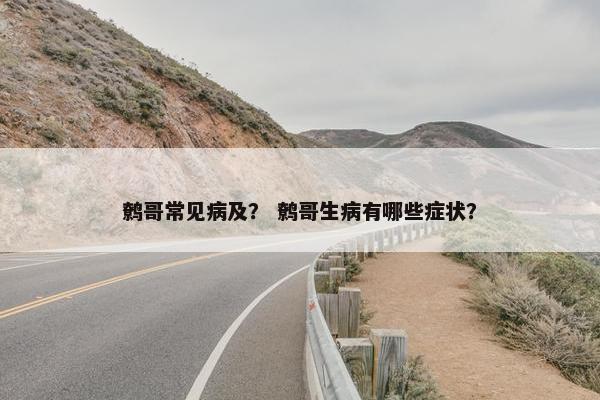 鹩哥常见病及？ 鹩哥生病有哪些症状？