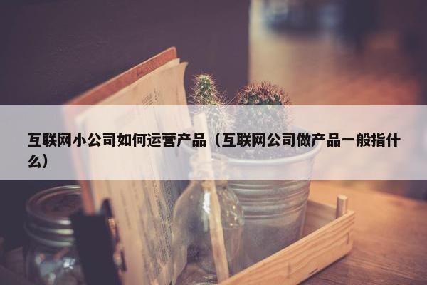 互联网小公司如何运营产品（互联网公司做产品一般指什么）