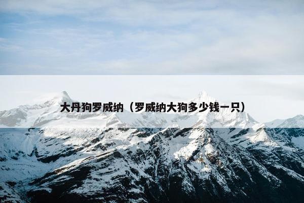 大丹狗罗威纳（罗威纳大狗多少钱一只）