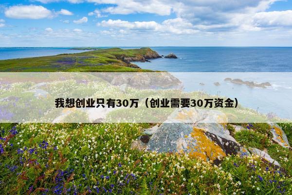 我想创业只有30万（创业需要30万资金）
