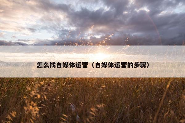 怎么找自媒体运营（自媒体运营的步骤）