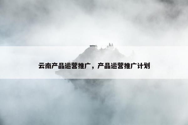 云南产品运营推广，产品运营推广计划