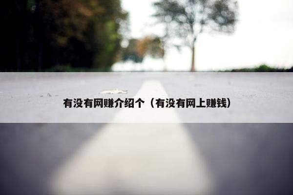 有没有网赚介绍个（有没有网上赚钱）